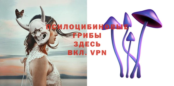 первитин Каменка