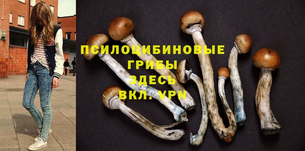 винт Алексеевка