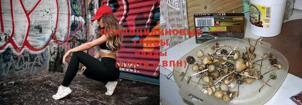 винт Алексеевка