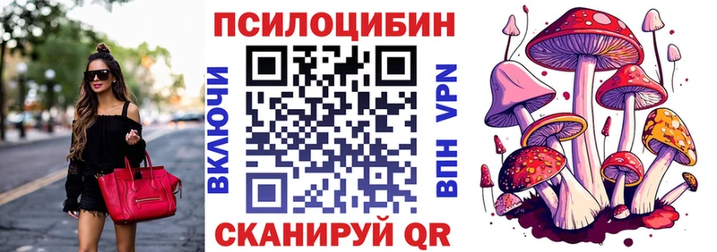 Псилоцибиновые грибы Psilocybe Сольвычегодск